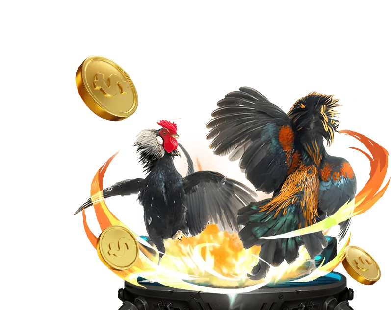 Cá cược bóng chuyền 88ok