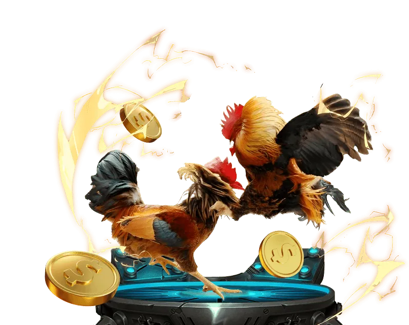 Chiến lược đá gà 88ok, phân tích gà chiến và đặt cược